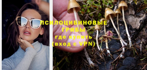 сатива Балабаново