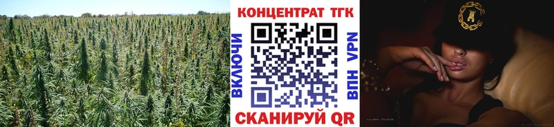 где продают наркотики  hydra ONION  Дистиллят ТГК вейп  Зима 