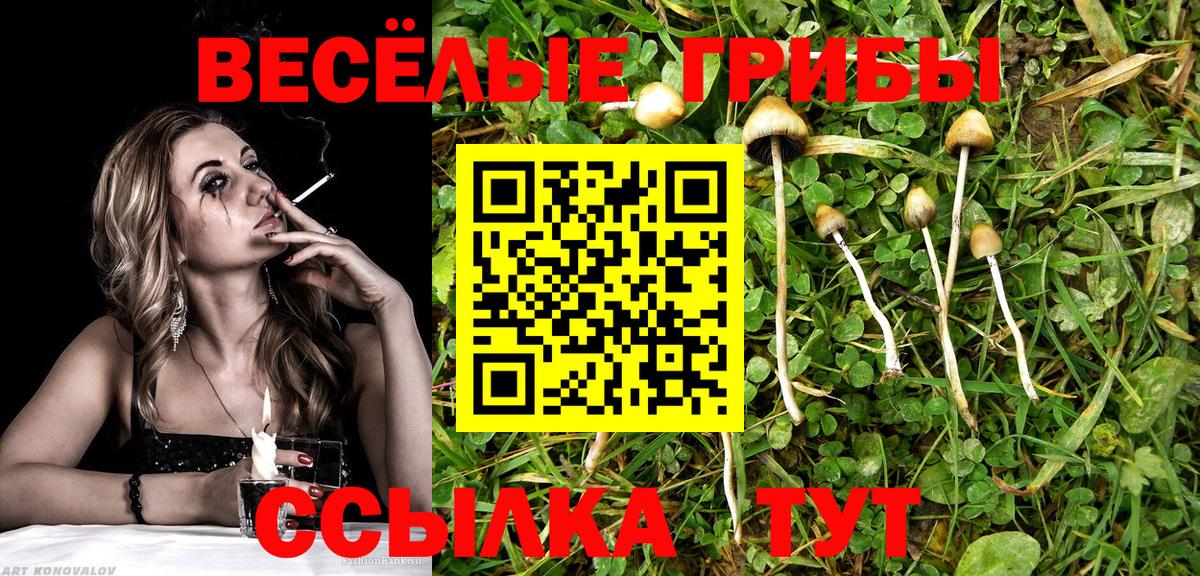 Галлюциногенные грибы Cubensis  Галлюциногенные грибы MAGIC MUSHROOMS  Зима  Вход с VPN 